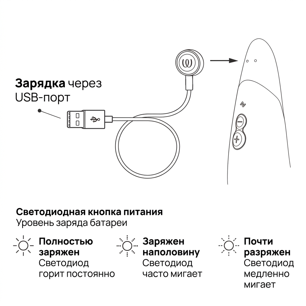 Womanizer Vibe: зарядка