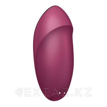 Клиторальный стимулятор с вибрацией Satisfyer Tap&Climax 1 бордовый от sex shop Extaz фото 5