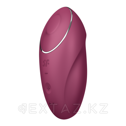 Клиторальный стимулятор с вибрацией Satisfyer Tap&Climax 1 бордовый от sex shop Extaz фото 4