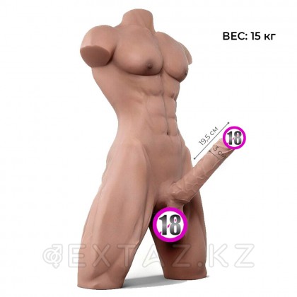 Сексуальный мужской торс с пенисом (15 кг) от sex shop Extaz фото 2
