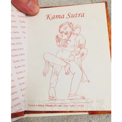 Кама Сутра New Delhi (книга на русском языке) от sex shop Extaz фото 4