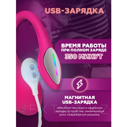 Виброяйцо для точки G с управлением через приложение Lush 4 от Lovense от sex shop Extaz фото 6