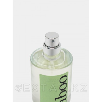 Туалетная вода с афродизиаками RUF Taboo Libertin для мужчин, 50 мл от sex shop Extaz фото 5