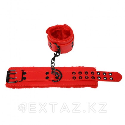 БДСМ набор,6 предметов (красный) от sex shop Extaz фото 2