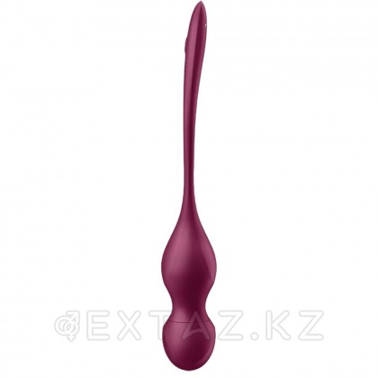 Тренажер Кегеля Satisfyer Love Birds Vary (Connect App) бордовый от sex shop Extaz