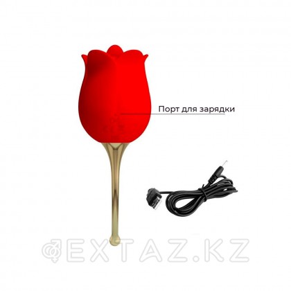 Клиторальный стимулятор с вибрацией Rose lover от sex shop Extaz фото 7