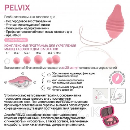 Набор для тренировок интимных мышц Pelvix от FEMINTIMATE от sex shop Extaz фото 3