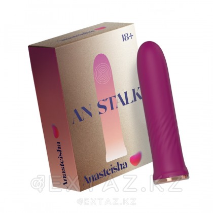 Элегантный миниатюрный вибромассажер AN Stalk от Anasteisha от sex shop Extaz фото 2