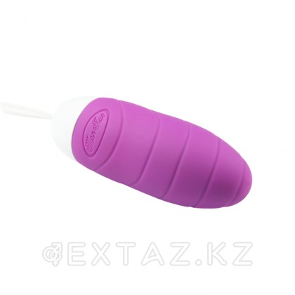 Виброяйцо Faery с пультом ДУ фиолетовая от sex shop Extaz фото 2