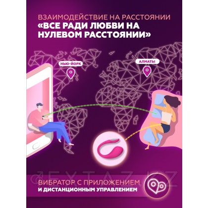 Виброяйцо для точки G с управлением через приложение Lush 4 от Lovense от sex shop Extaz фото 7