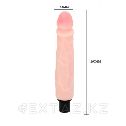 Реалистичный вибратор Realistic cock (26*4,3 см) от sex shop Extaz фото 6