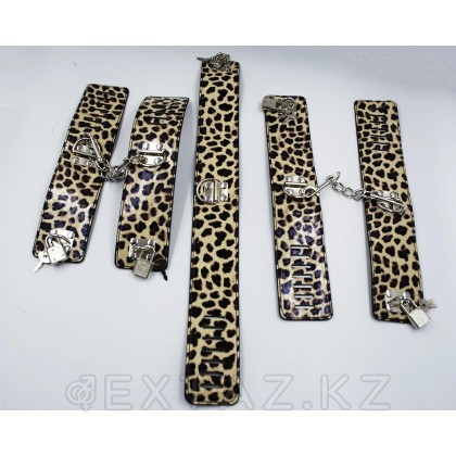 Фетиш набор Wild cat ( бондаж, зажимы, тиклер, наручники, оковы для ног, стек, ошейник, флоггер, кляп, маска) от sex shop Extaz фото 3