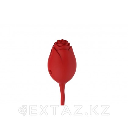 Стимулятор ROSE для сосков и клитора с пультом ДУ от sex shop Extaz фото 2
