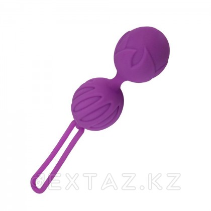 Вагинальные шарики Geisha Lastic Ball фиолетовые от Adrien Lastic (размер S) от sex shop Extaz
