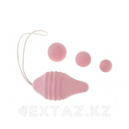 Набор для тренировок интимных мышц Pelvix от FEMINTIMATE от sex shop Extaz фото 5