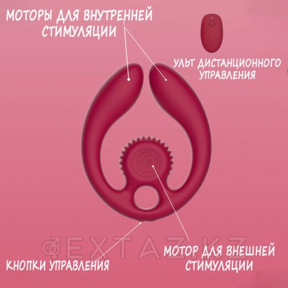 Стимулятор для пар SVibe Snail GIZI DUO бордовый от sex shop Extaz фото 3