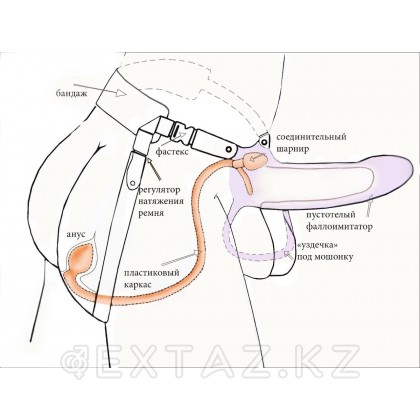 Анальный фиксатор + мужской фаллопротез на каркасе MEN STYLE от sex shop Extaz фото 5