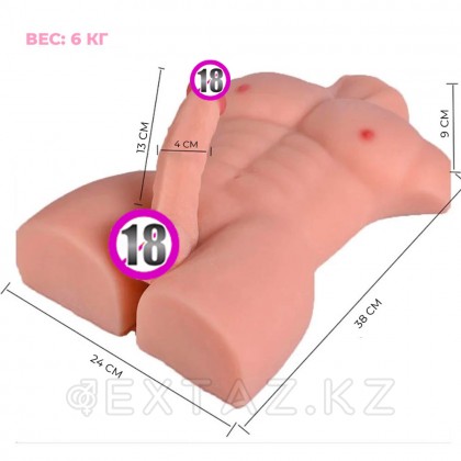 Мужской торс с фаллоимитатором (6 кг.) от sex shop Extaz фото 2