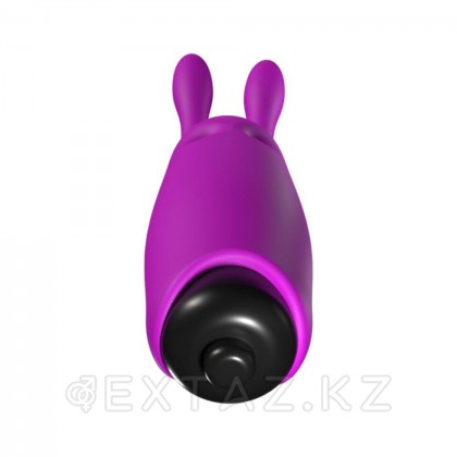 Карманный вибратор-кролик Rabbit Adrien Lastic фиолетовый от sex shop Extaz фото 5