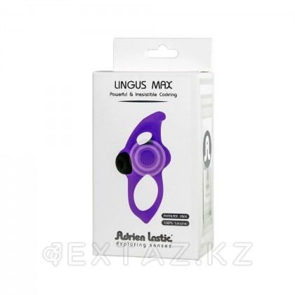 Эрекционное виброкольцо Lingus Max фиолетовое от Adrien lastic от sex shop Extaz фото 5