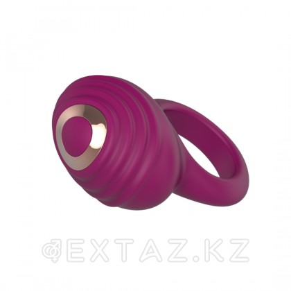 Перезаряжаемое эрекционное кольцо AN Petal от Anasteisha от sex shop Extaz фото 5
