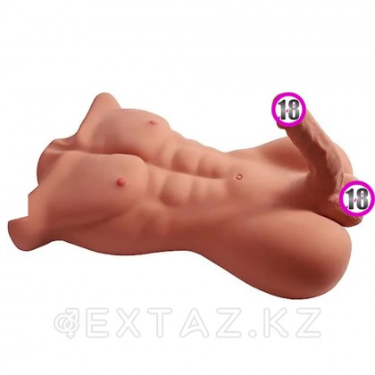 Спортивное мужское тело с фаллоимитатором (8,5 кг.) от sex shop Extaz фото 3