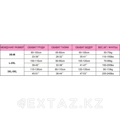 Боди сетка мужская Sexy Black (OS) от sex shop Extaz фото 2