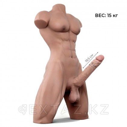 Сексуальный мужской торс с пенисом (15 кг) от sex shop Extaz фото 2