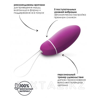 Инновационный вибратор Luna Smart Bead (LELO) от sex shop Extaz фото 6
