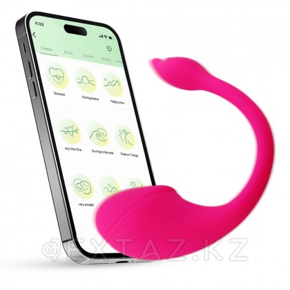 Виброяйцо с управлением через приложение Sharp tail от sex shop Extaz фото 7