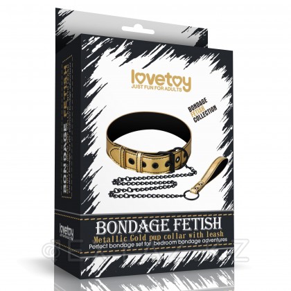 Ошейник с поводком Bondage Fetish Gold от sex shop Extaz