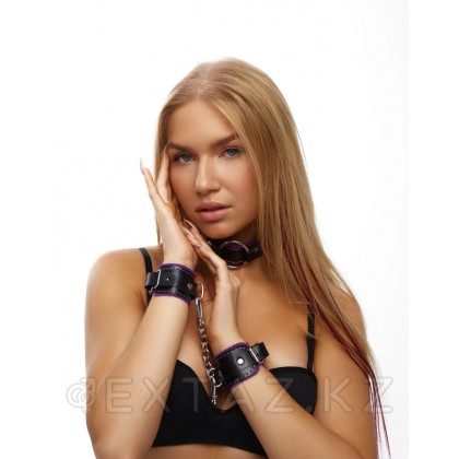 Ошейник с мягкой фиолетовой подкладкой от sex shop Extaz фото 2