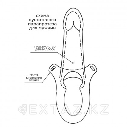 Фаллоимитатор поясной пустотелый с бандажом (19 см.) от sex shop Extaz фото 4