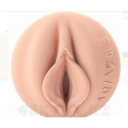 Мастурбатор Fleshlight Fantasy Evie Akashiya Sho Akuma (вагина) от sex shop Extaz фото 3