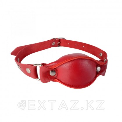 Кляп-набивной, красный от sex shop Extaz