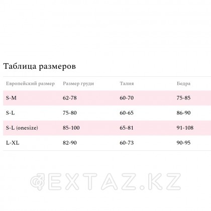 Комплект эротический Amor El топ и чулки с поясом в сетку со стразами, красный, S/L от sex shop Extaz фото 4