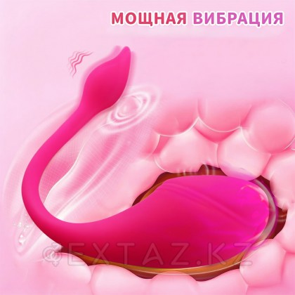 Виброяйцо с управлением через приложение Sharp tail от sex shop Extaz фото 8