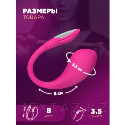 Виброяйцо для точки G с управлением через приложение Lush 4 от Lovense от sex shop Extaz фото 9