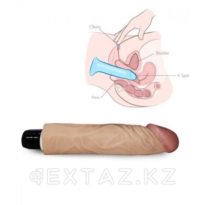 Вибратор реалистик - 16,5 х 4 см. от sex shop Extaz фото 6