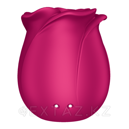 Вакуумно-волновой стимулятор Satisfyer Pro 2 Classic Blossom (имитация струи воды) от sex shop Extaz фото 7