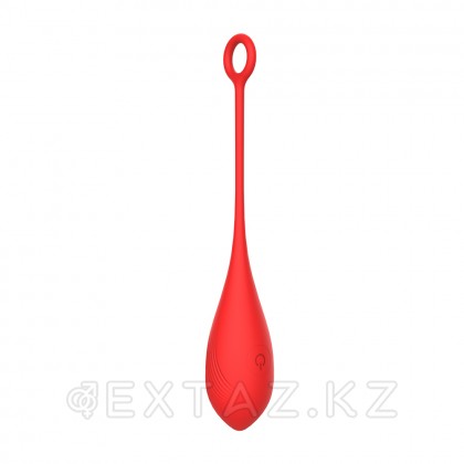 Виброяйцо для стимуляции точки G с пультом ДУ от sex shop Extaz фото 3