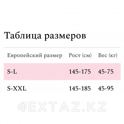 Боди-комбинезон с доступом Amor El Esponela в сетку со стразами, S-L от sex shop Extaz фото 3