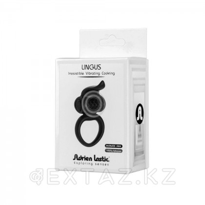 Эрекционное виброкольцо Lingus черное от Adrien lastic от sex shop Extaz фото 6