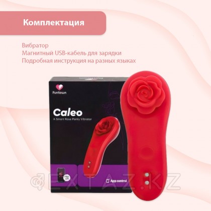 Smart-вибратор в трусики Funtown Caleo App от Magic Motion от sex shop Extaz фото 6