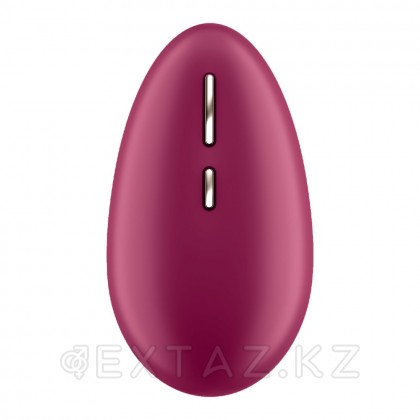 Стимулятор клитора Satisfyer Spot On бордовый от sex shop Extaz фото 5