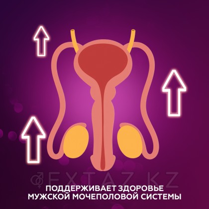 Простенд капсулы SUPREME PHARMATECH N401 30 шт от sex shop Extaz фото 3