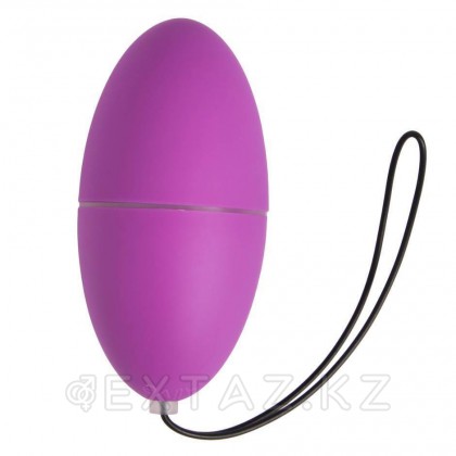 Виброяйцо Magic Egg фиолетовый с пультом ДУ от Alive от sex shop Extaz фото 4