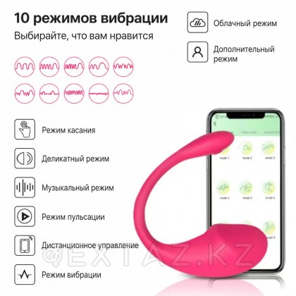 Виброяйцо с управлением через приложение Love spouse APP от sex shop Extaz фото 8