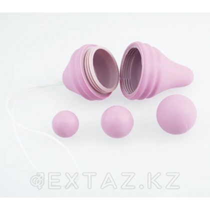 Набор для тренировок интимных мышц Pelvix от FEMINTIMATE от sex shop Extaz фото 8