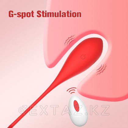 Виброяйцо для стимуляции точки G с пультом ДУ от sex shop Extaz фото 12